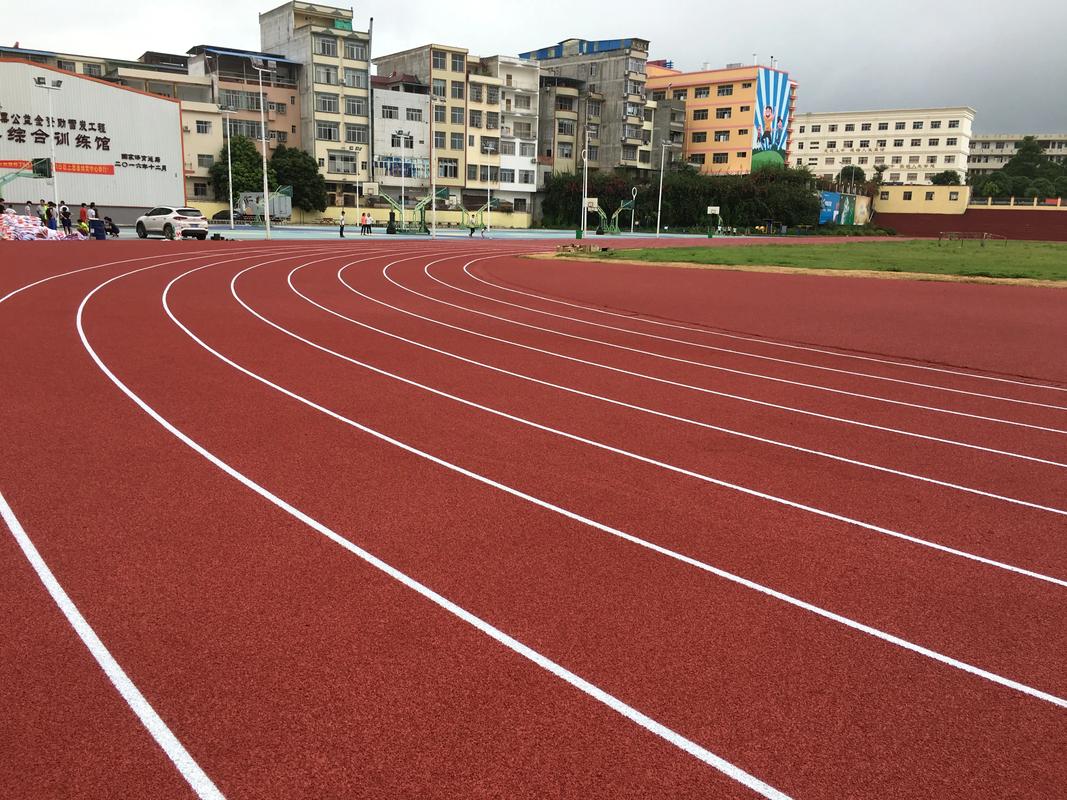 丹东市硅PU材料塑胶跑道材料 - 方案